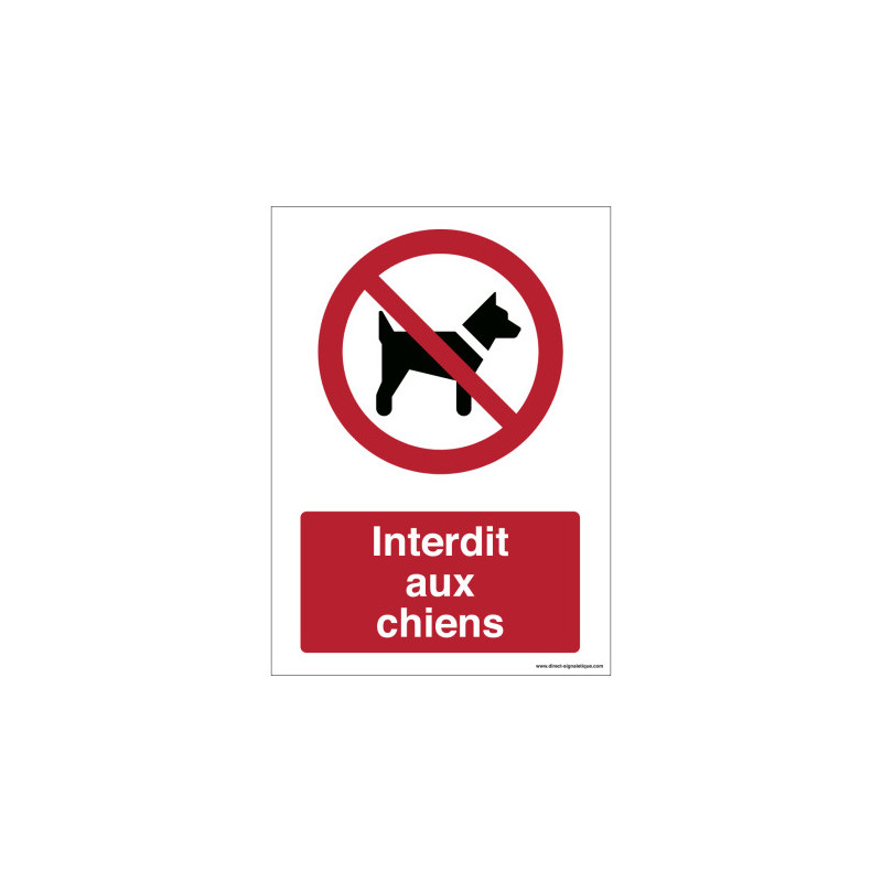Panneau Interdit aux Chiens ISO 7010 | Signalétique Pro
