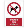 Panneau Interdit aux Chiens ISO 7010 | Signalétique Pro