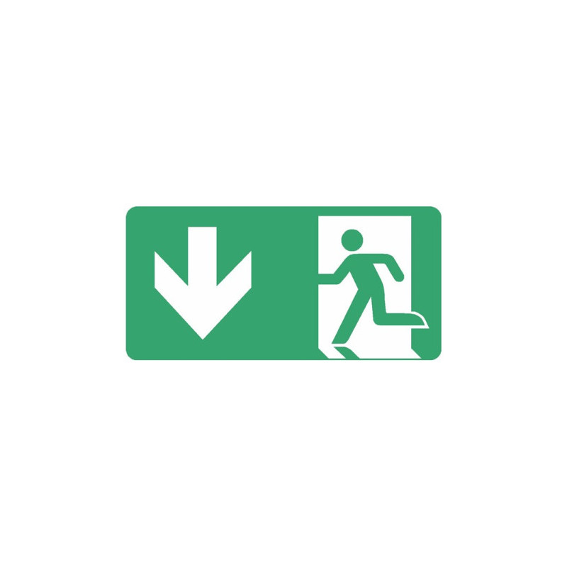 Panneau Évacuation Sortie Bas ISO 7010 | Signalétique Pro