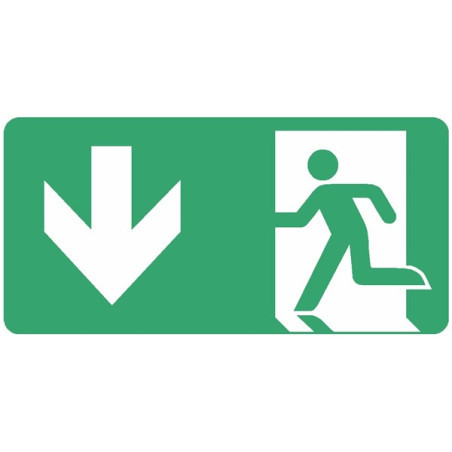 Panneau Évacuation Sortie Bas ISO 7010 | Signalétique Pro