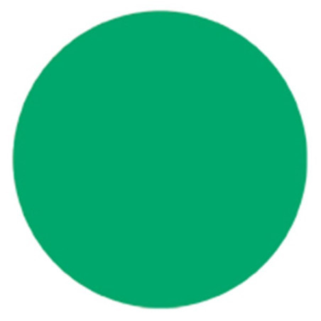 Pastille Adhésive Verte Signalétique Évacuation | Zone-Print